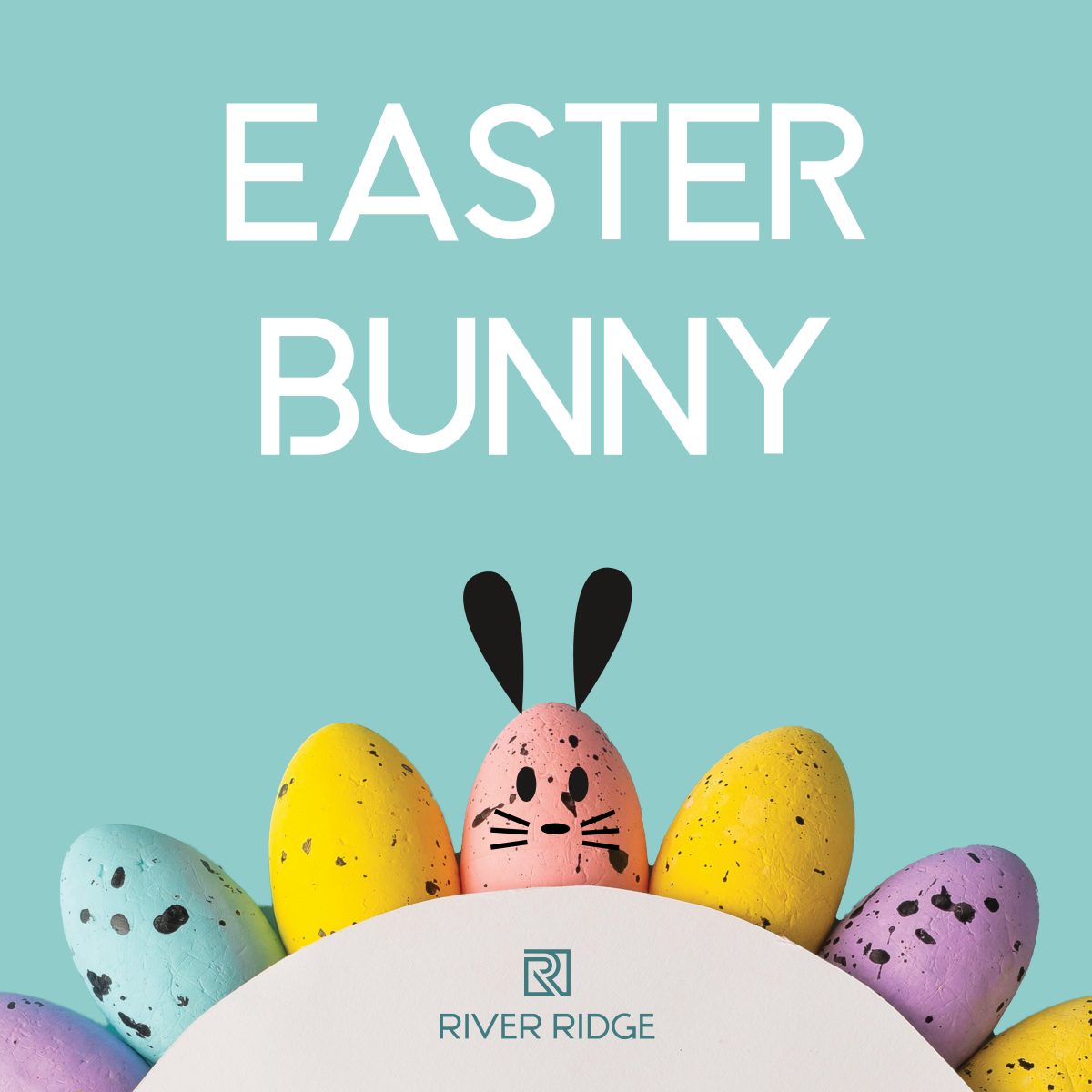 Easter Bunny Photos | River Ridge