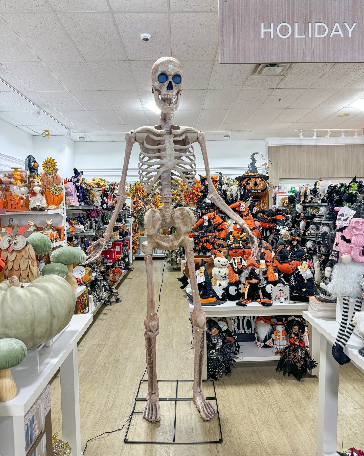 a skeleton halloween decoration