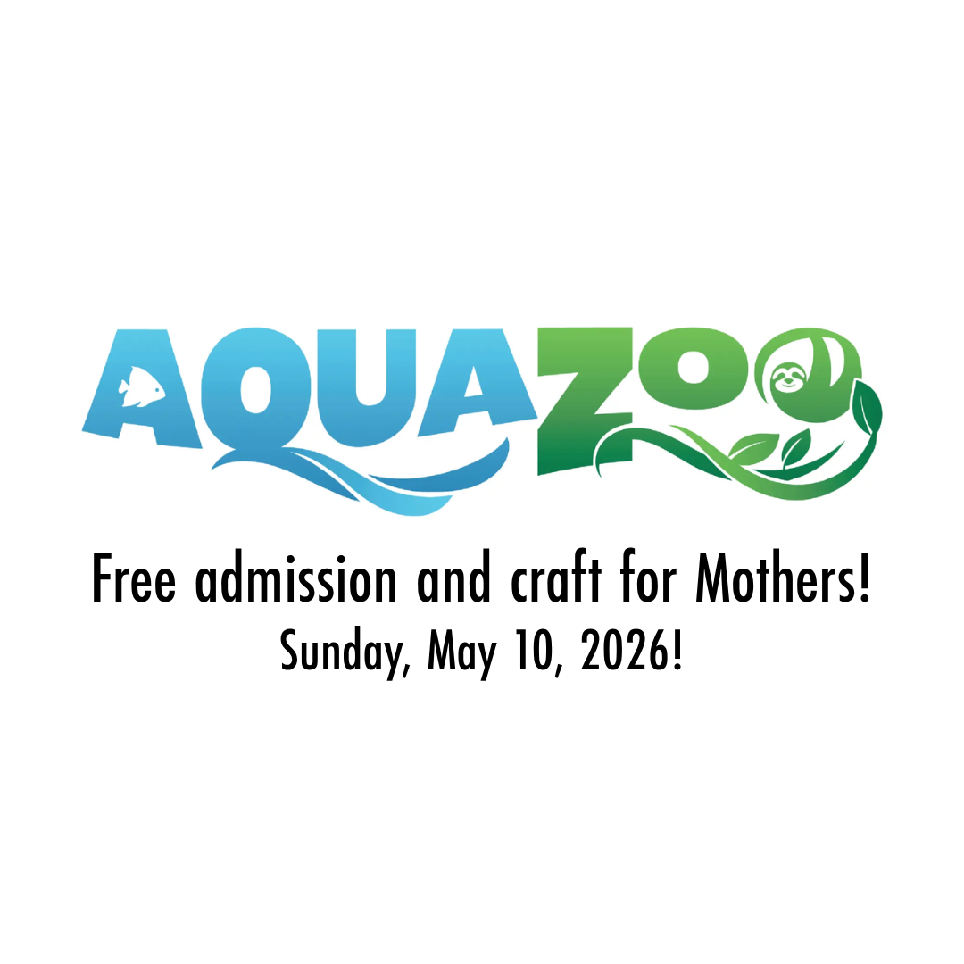 Free Admission &amp; Craft for Mothers! icon